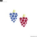 Blue grape and red grape. Icon set. Isolated berries on white background Royalty Free Stock Photo